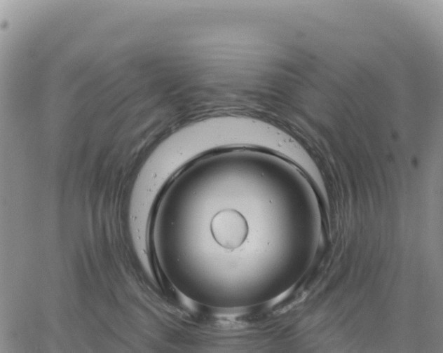 X0000061750376200512091642