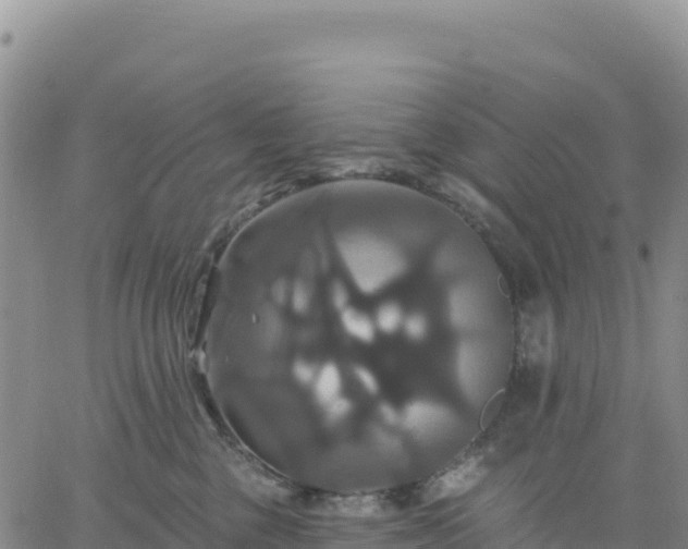 X0000061750377200512091642