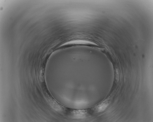 X0000061750378200512091642