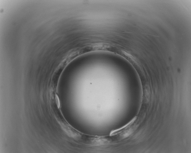 X0000061750379200512091642