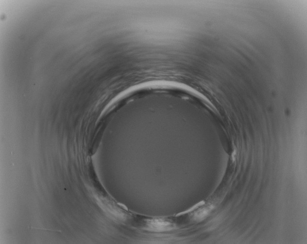 X0000061750380200512091642