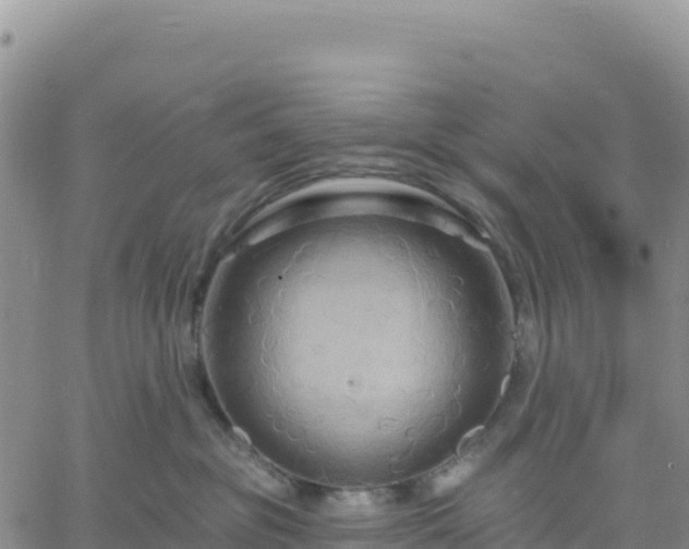 X0000061750381200512091642