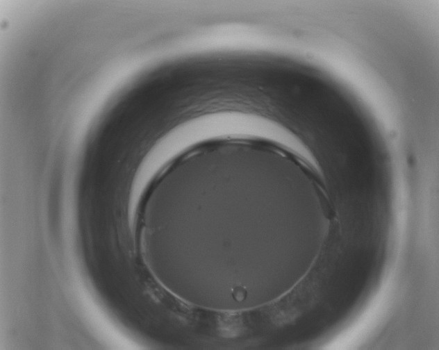 X0000061750382200512091642