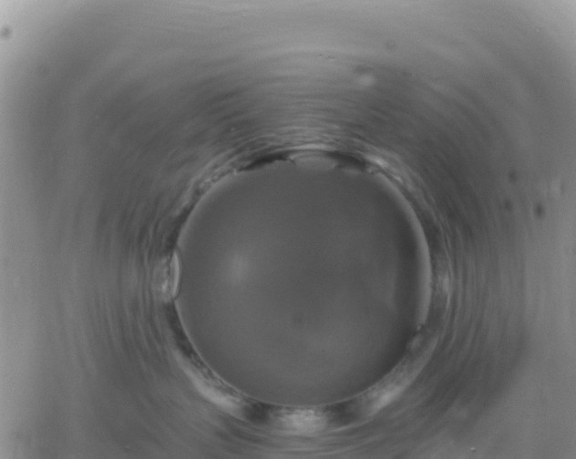 X0000061750383200512091642