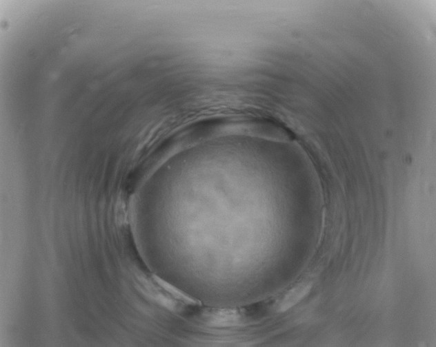 X0000061750384200512091642