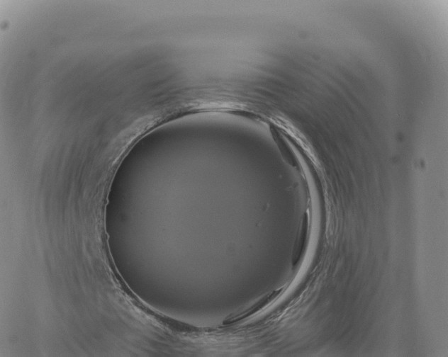 X0000061750385200512091641