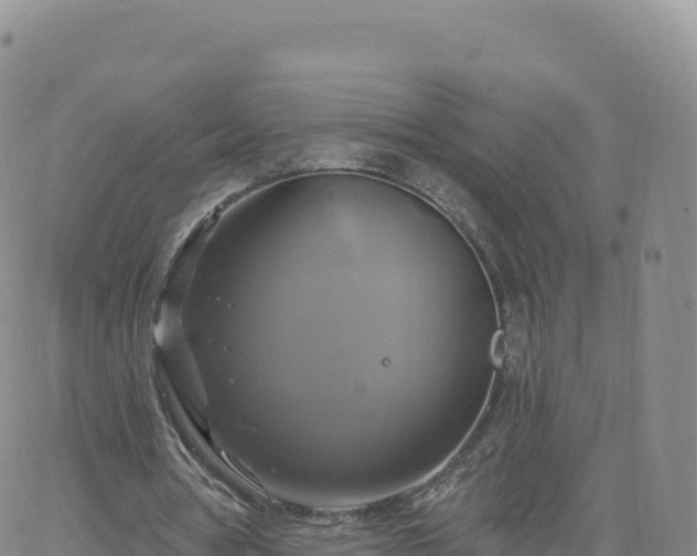 X0000061750386200512091641