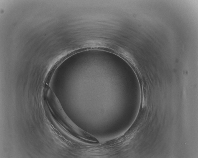 X0000061750387200512091641