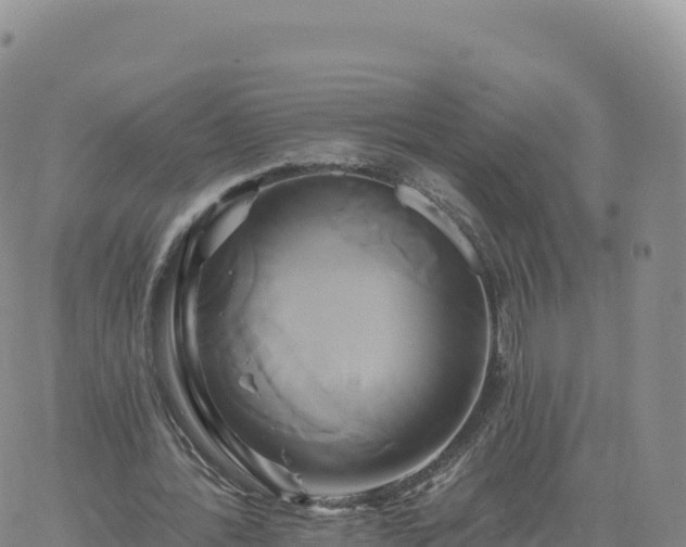 X0000061750388200512091641