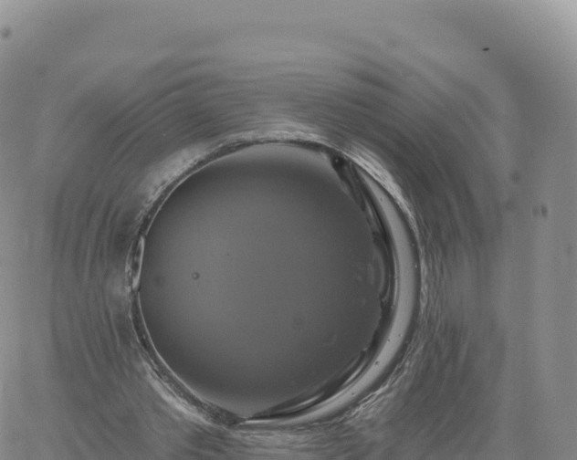 X0000061750389200512091641