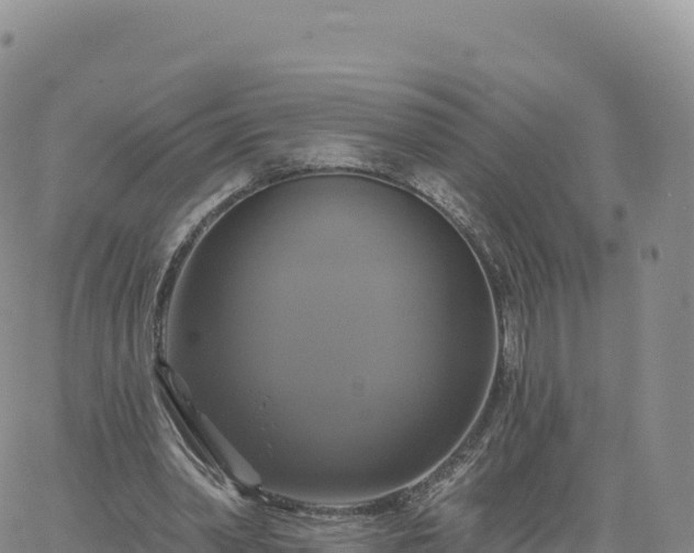 X0000061750390200512091641