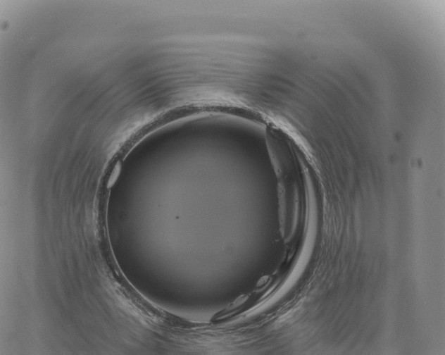 X0000061750391200512091641