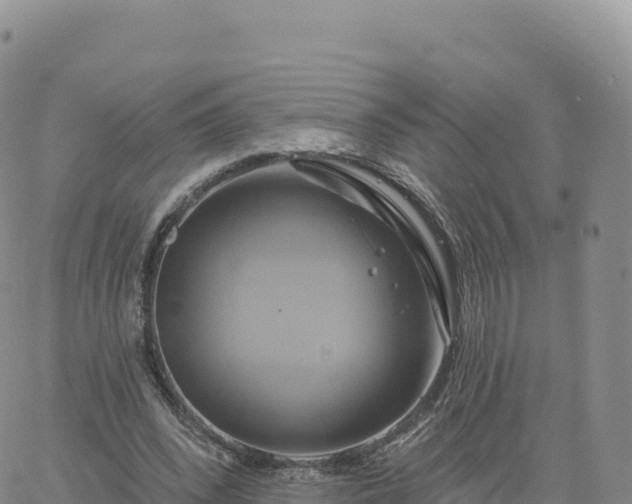 X0000061750392200512091641