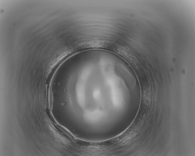 X0000061750394200512091641