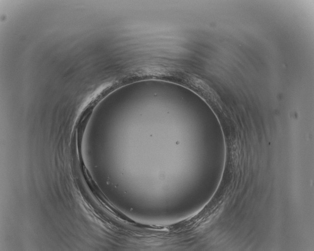 X0000061750395200512091641