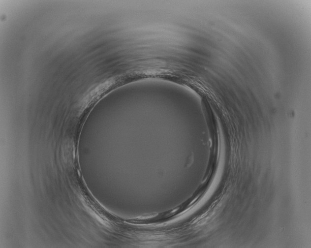 X0000061750397200512091641