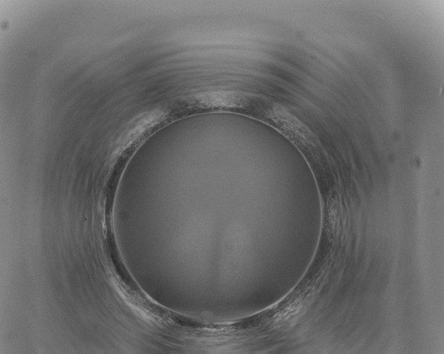 X0000061750398200512091641