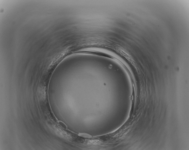 X0000061750401200512091641