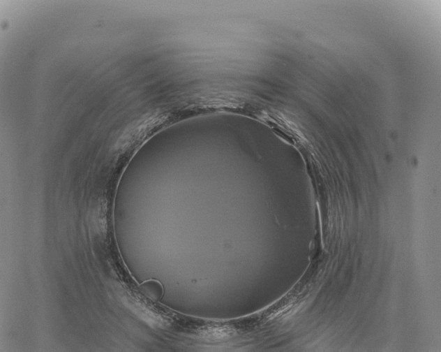 X0000061750402200512091641