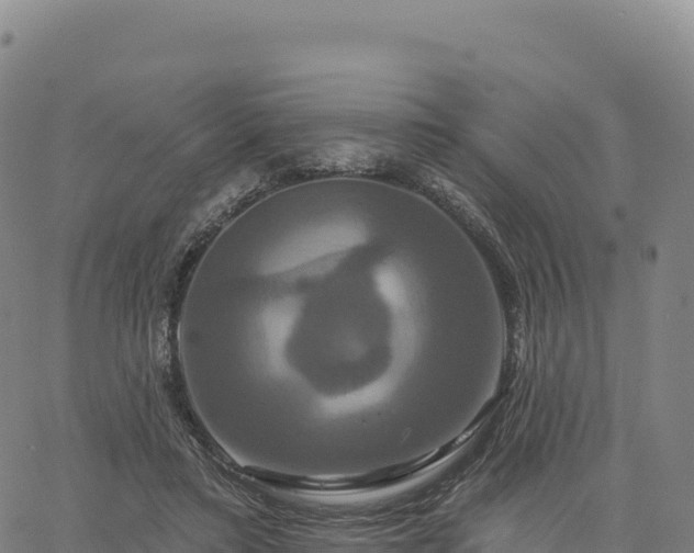 X0000061750403200512091641