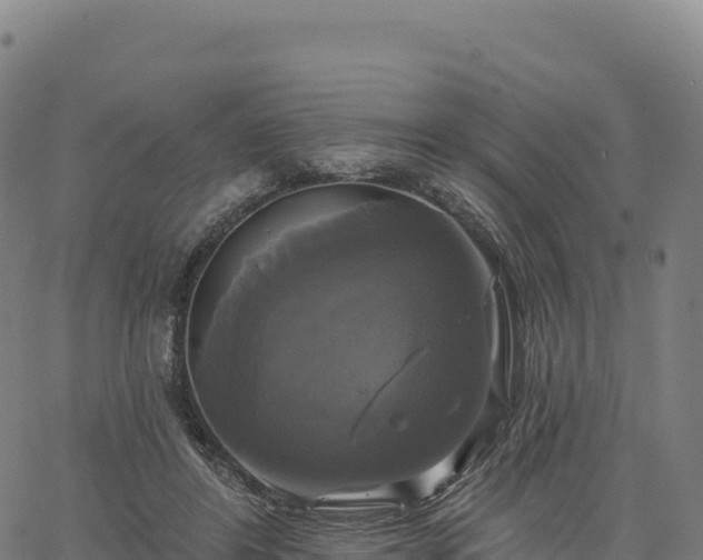 X0000061750404200512091641