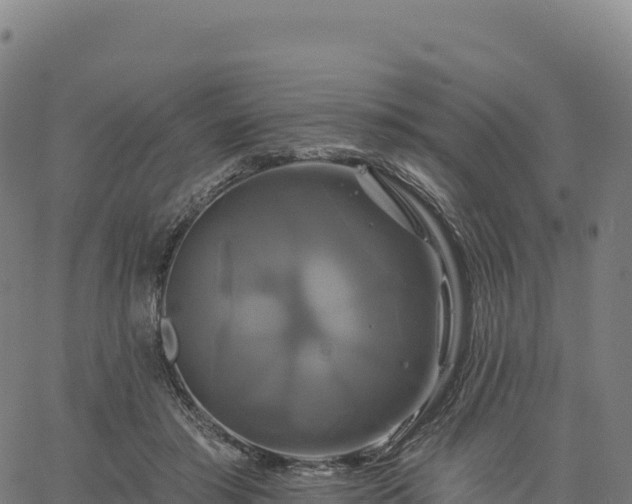 X0000061750405200512091641