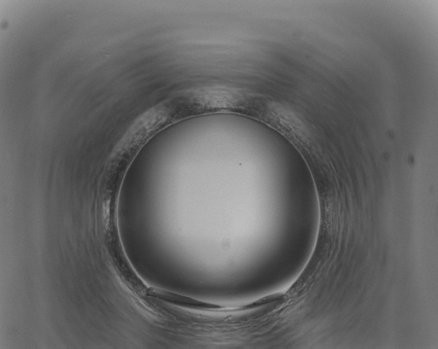 X0000061750406200512091641