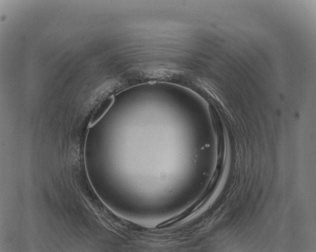 X0000061750407200512091641