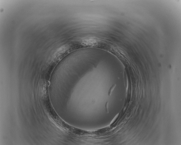 X0000061750408200512091641