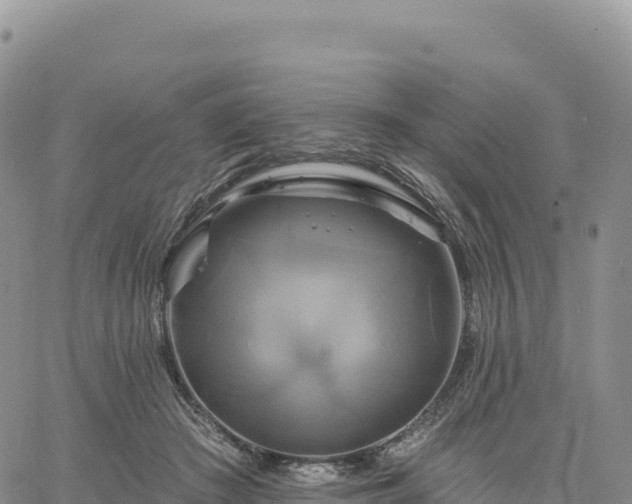 X0000061750409200512091641