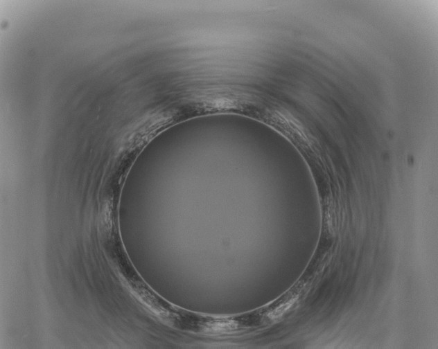 X0000061750410200512091641