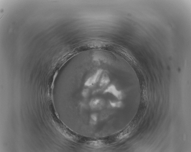 X0000061750411200512091641