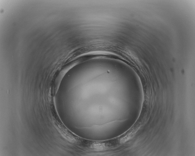 X0000061750413200512091641