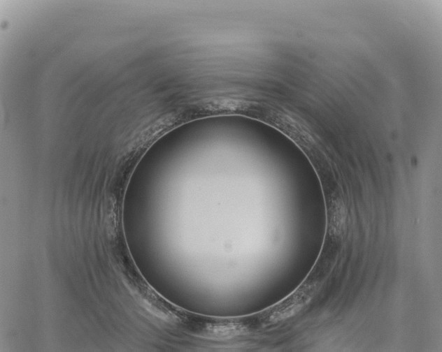 X0000061750414200512091641