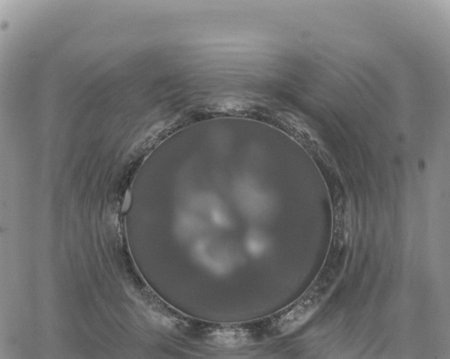 X0000061750415200512091641