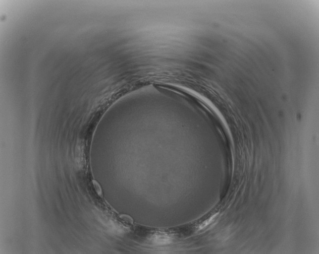 X0000061750416200512091641