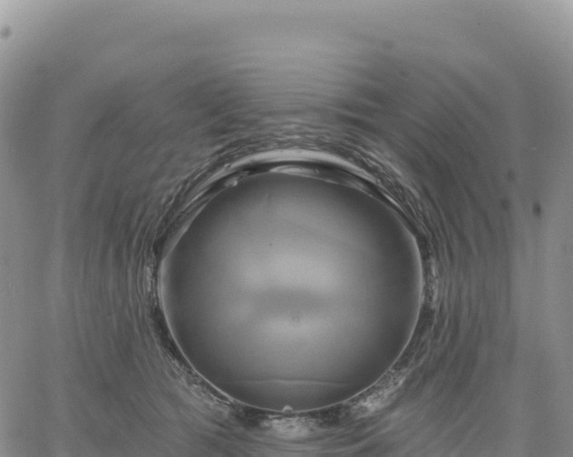 X0000061750417200512091641