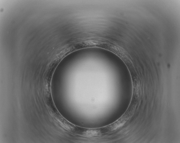 X0000061750418200512091641