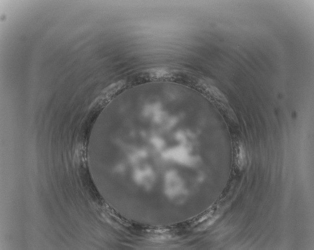 X0000061750419200512091641