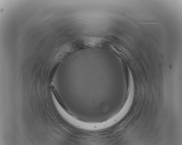 X0000061750420200512091641