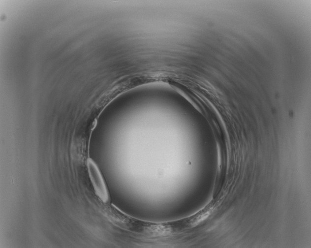 X0000061750421200512091640