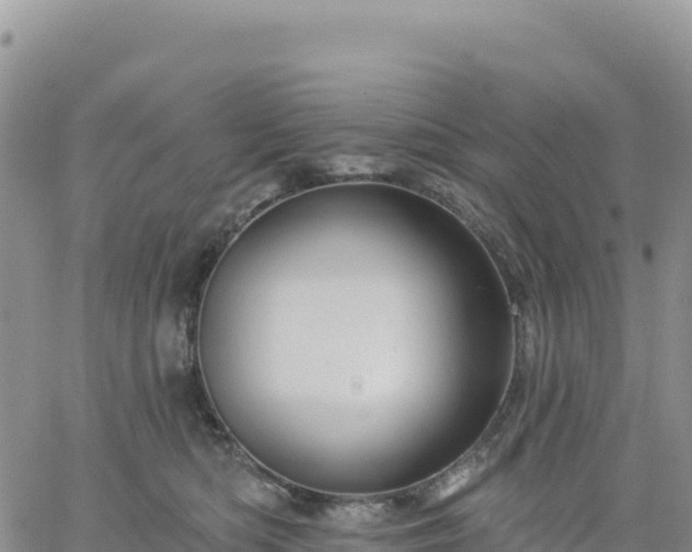 X0000061750422200512091640