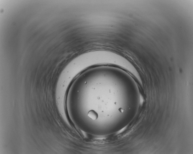 X0000061750423200512091640