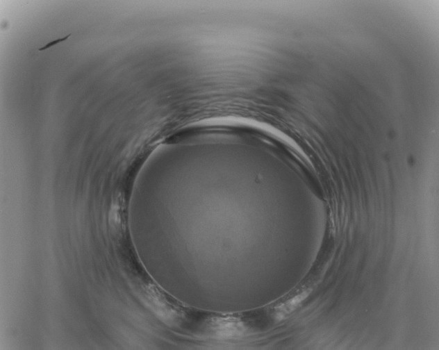 X0000061750424200512091640