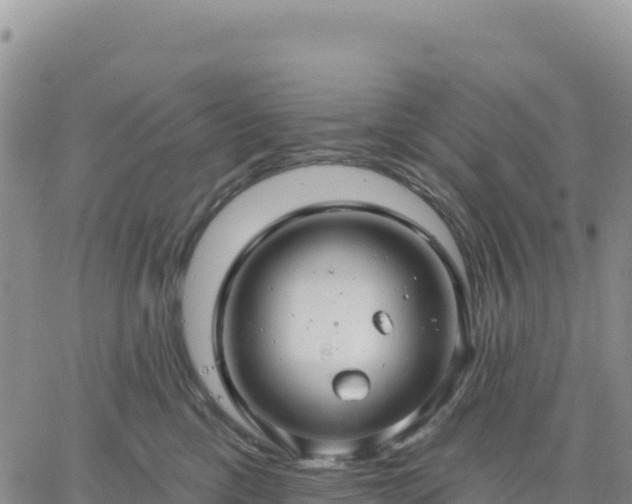 X0000061750425200512091640