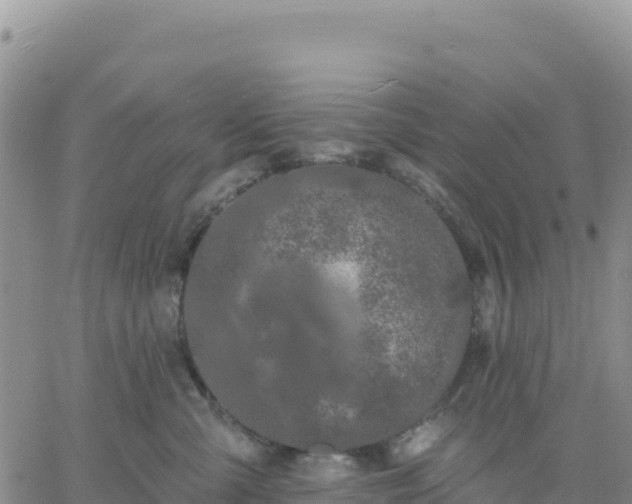 X0000061750427200512091640