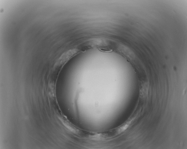 X0000061750430200512091640