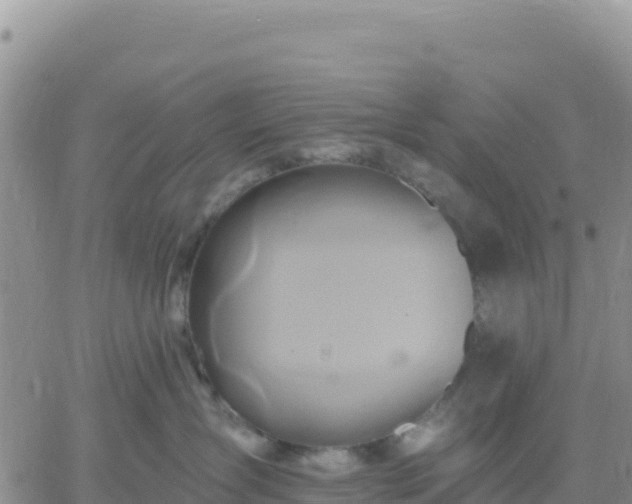 X0000061750431200512091640