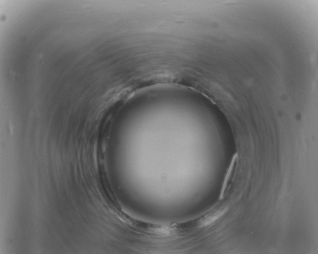 X0000061750432200512091640