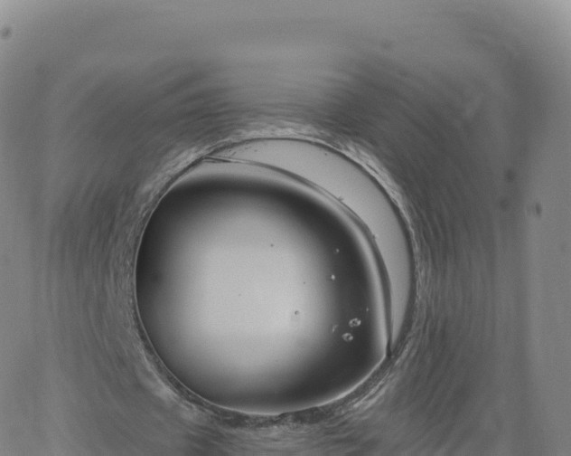 X0000061750433200512091640